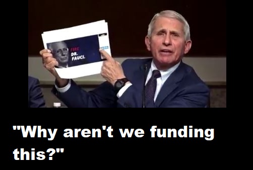fauci.JPG