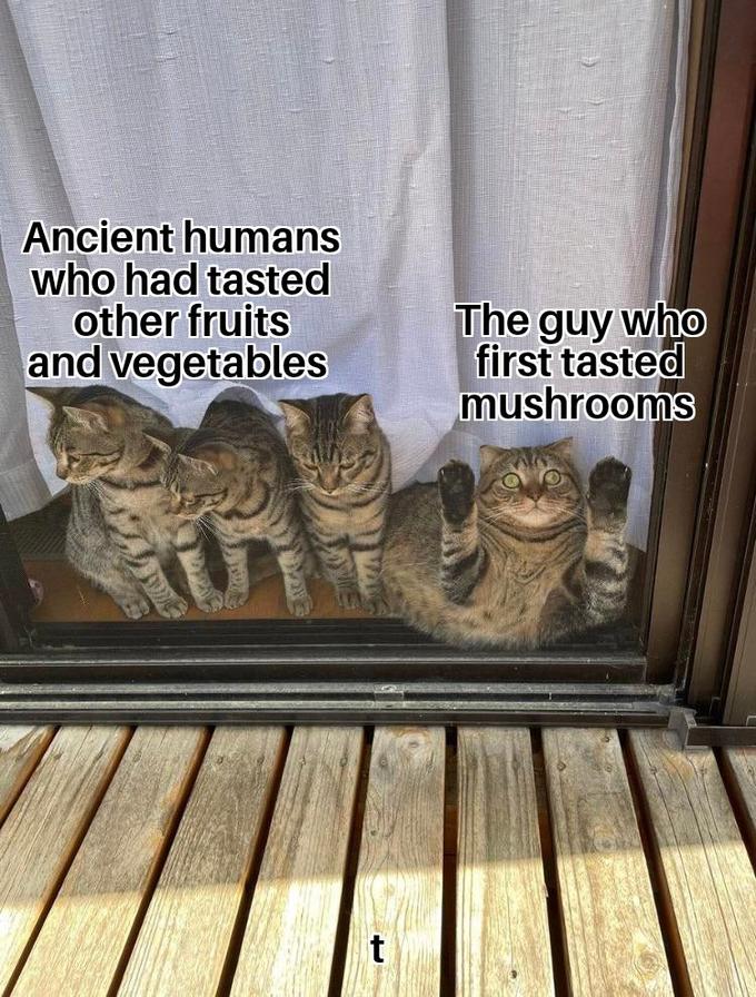 fb2.jpg