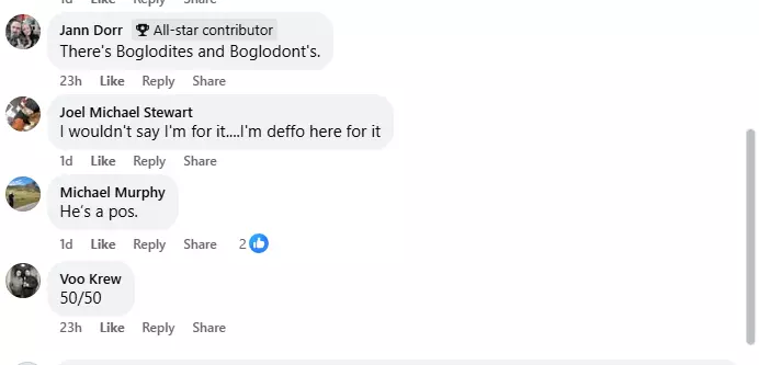 fbtrolls6.webp