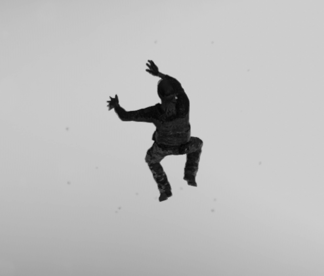fc5bug.png