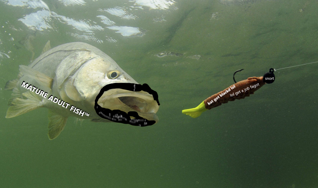 fdfdf.png
