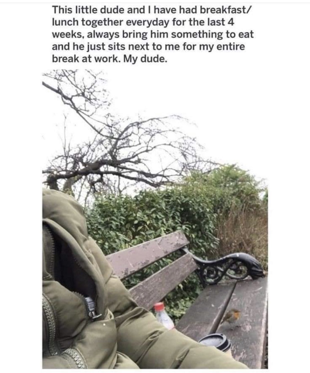 FEKKkMjXoAIDqcT.jpeg