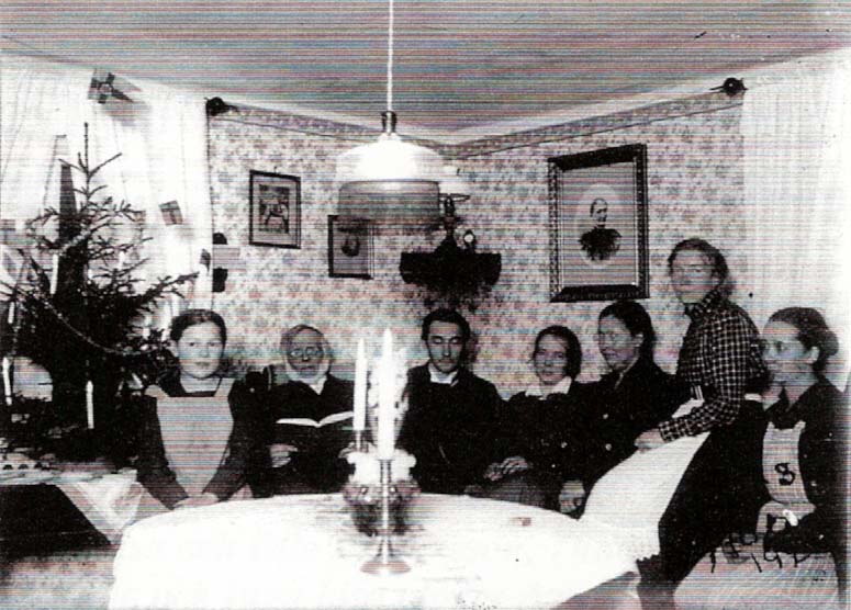 Femb206.jpg