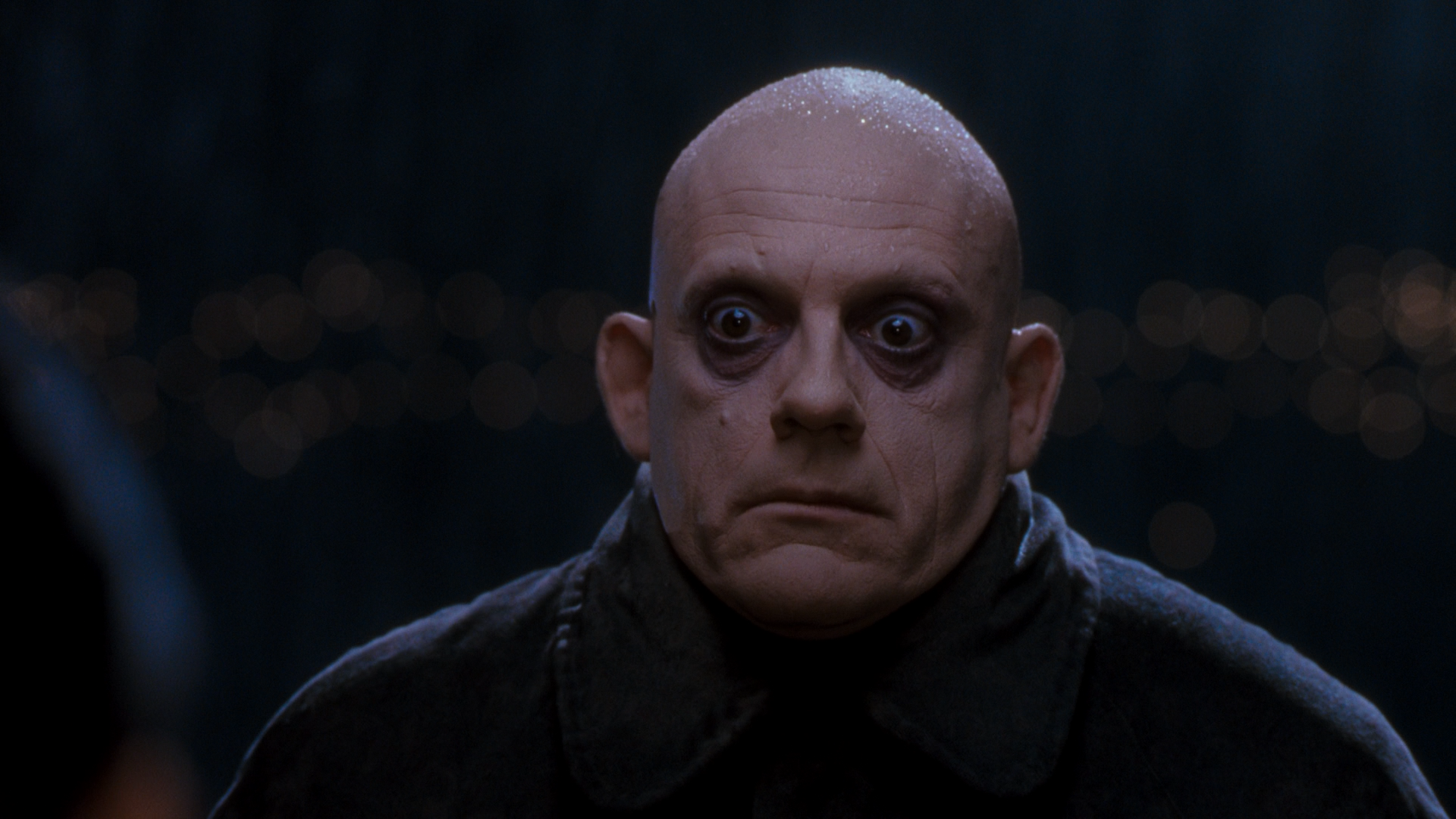 fester.png