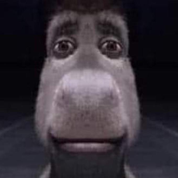 fetchimage (2).jpeg