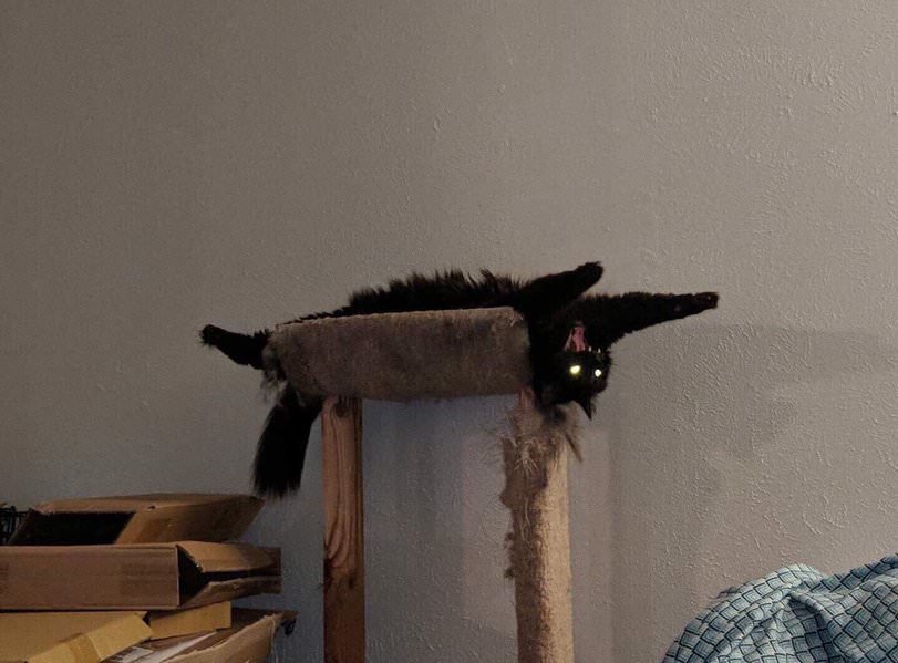 fFGNHTS.jpg