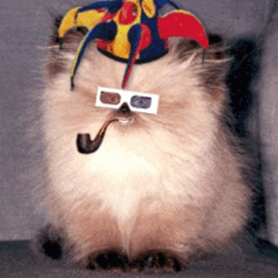 fiestacat.png