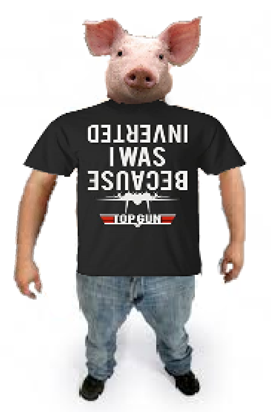 finishedpigmeme.PNG