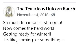 first month.PNG