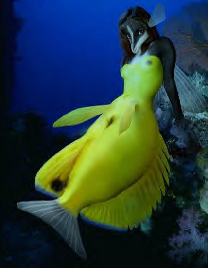 fish.jpg
