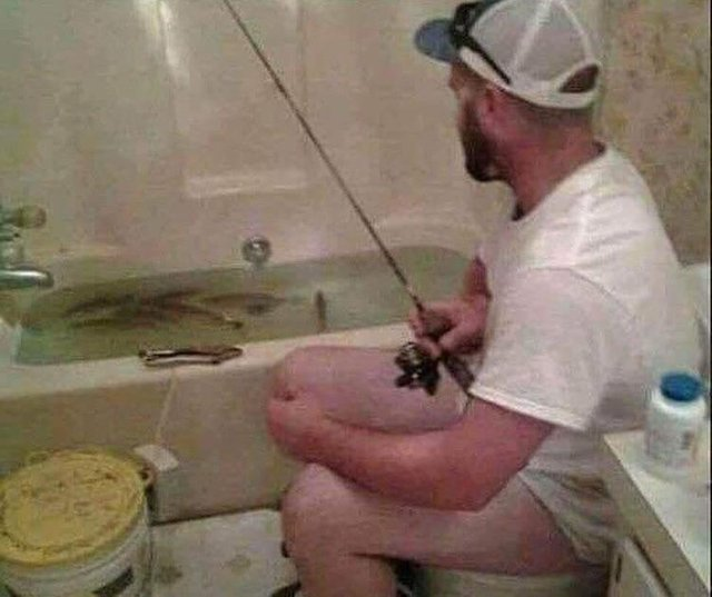 fish.png