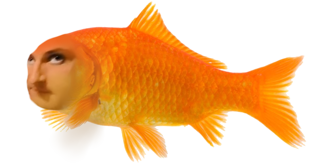 fish.png