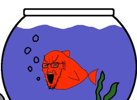 fish.png
