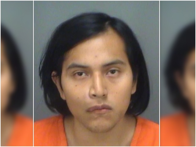 FL-illegal-alien.jpg