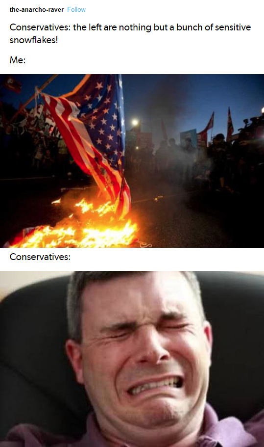 flagburn.png