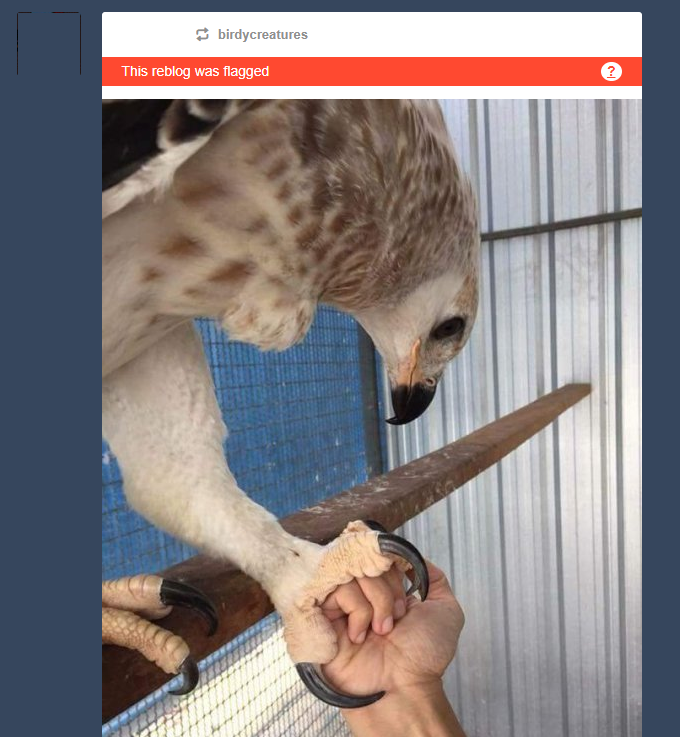 Flagged_A01.png