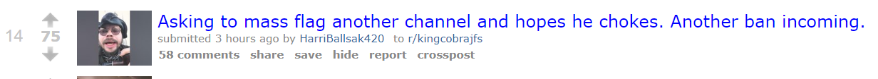 flaggg.PNG