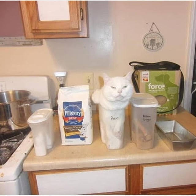 flour.jpg