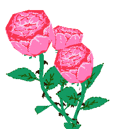 flowers.gif