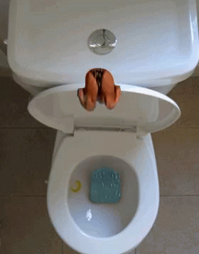 flush-diving-gif.gif