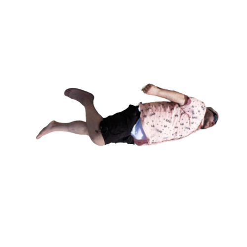 Fly_Ralph.PNG