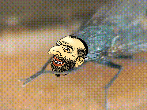 flymerchant.gif
