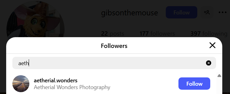 followers1.webp
