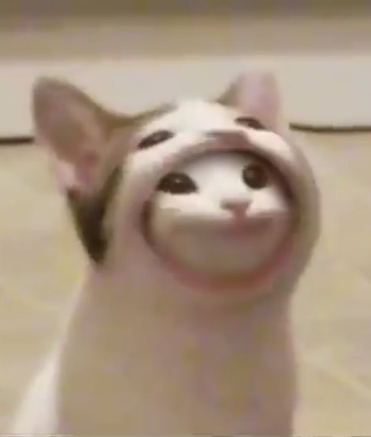foreskin cat.png