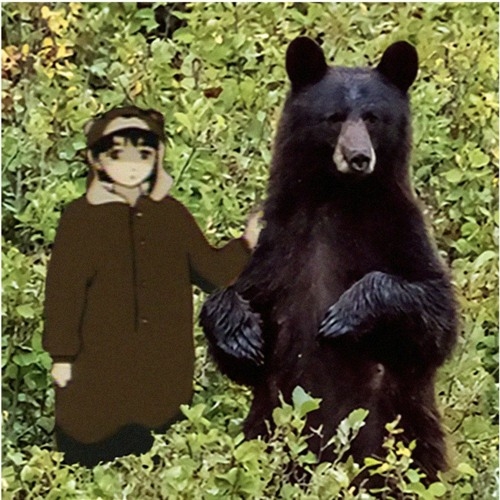 forest.jpg