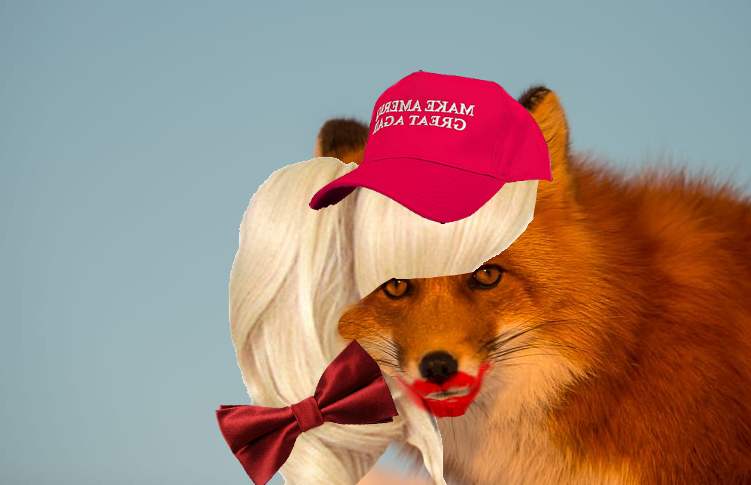 foxy.png