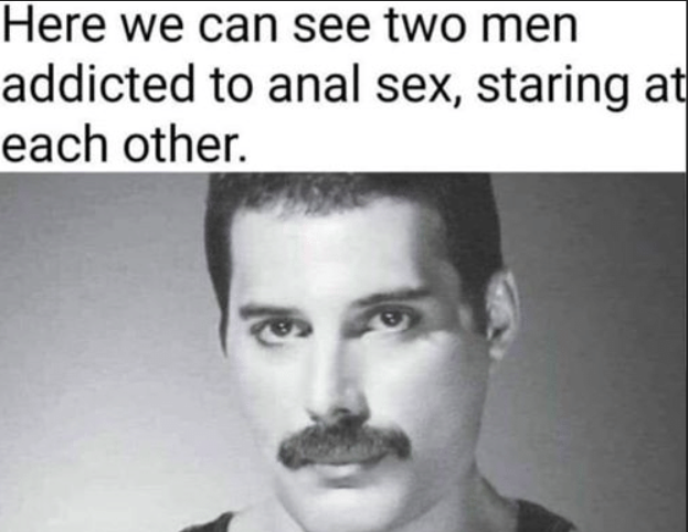 freddie.PNG