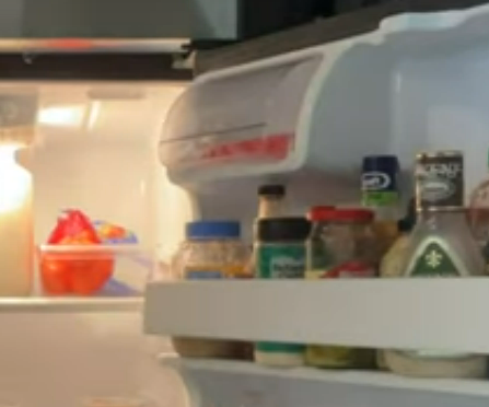 Fridge 4.png