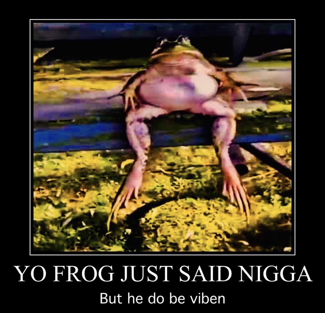 frog sitting.jpg