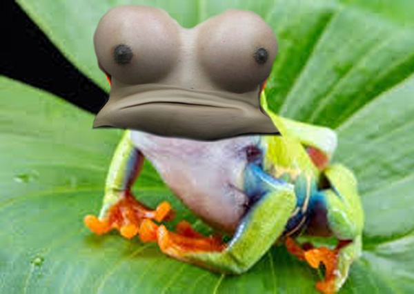 frogeyes - Copy (2).jpg