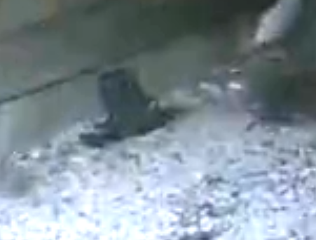 fromthevideo.PNG