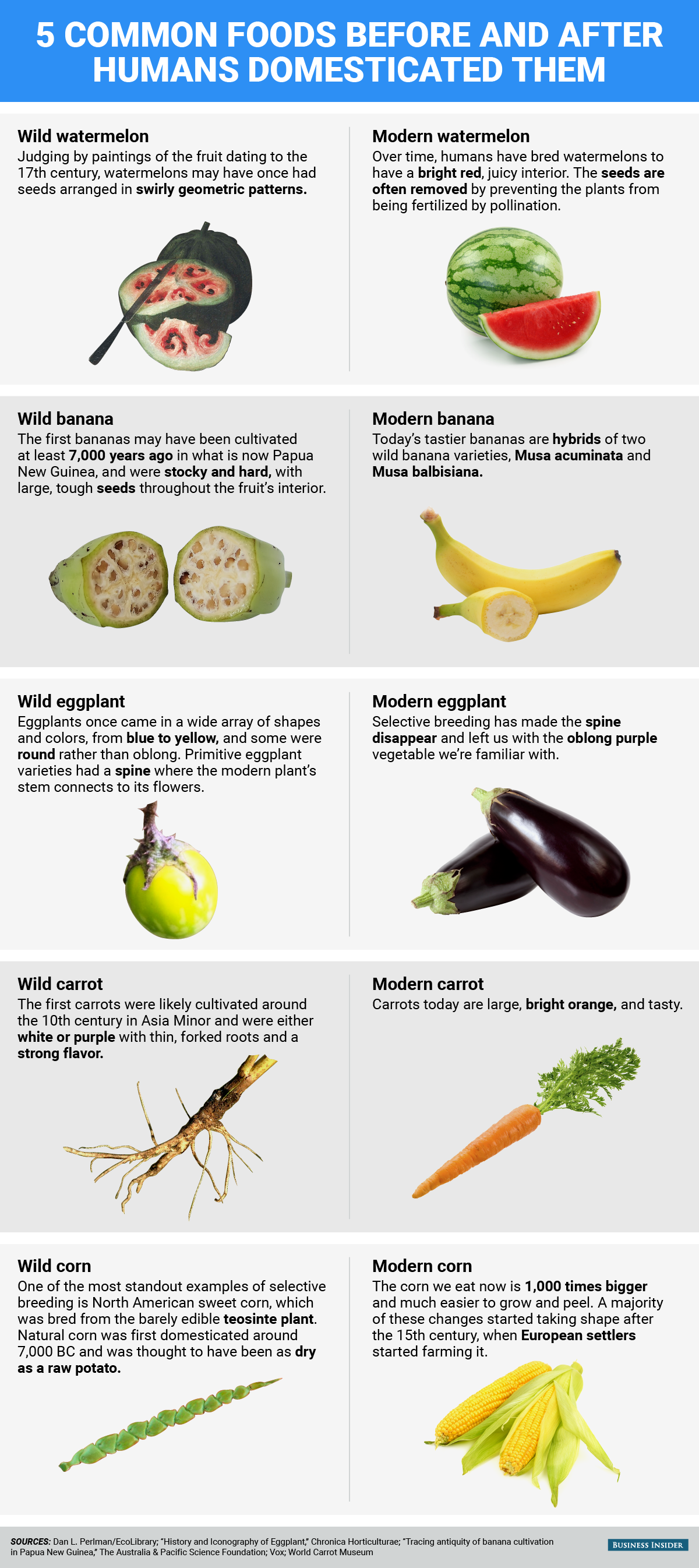 Fruits.png