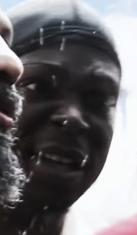 FS1.png