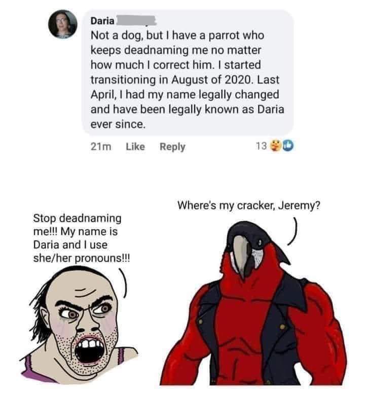 FT93RiDVUAEeiLe.jpeg