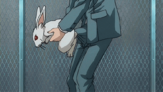 Fug_the_bunny.gif