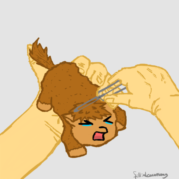 full (1).gif