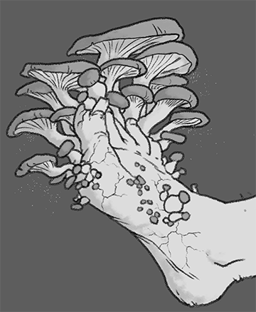 fungus.gif