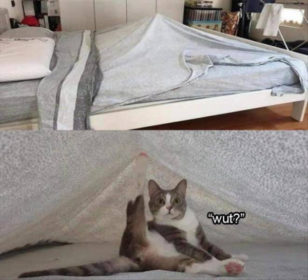 funny_picdump_640_35.jpg