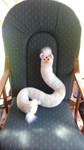 furb3.jpg