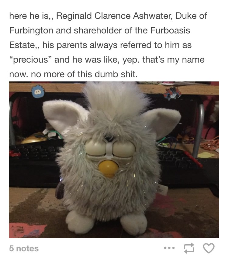 furbreginald.jpg