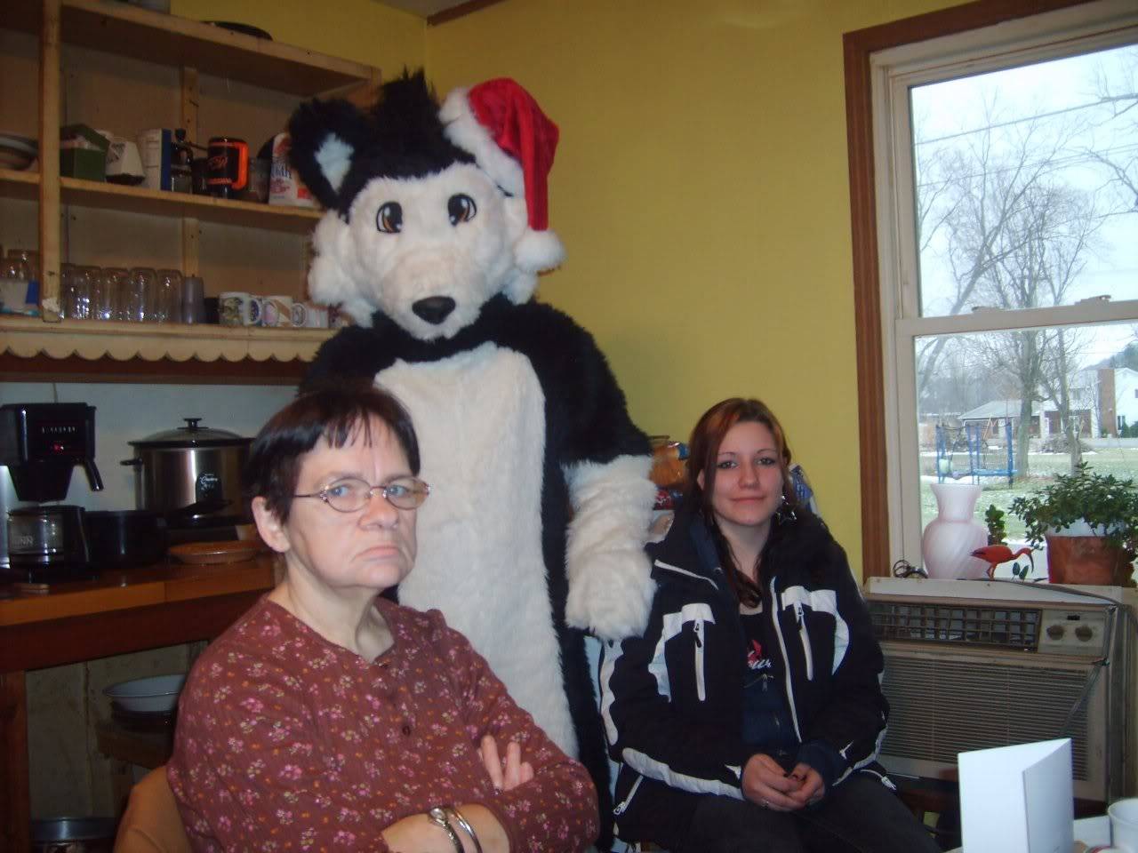 furfail.jpg