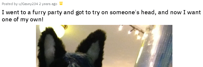 furry 1.PNG