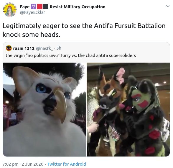 furry.jpg
