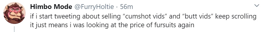 fursuit.jpg