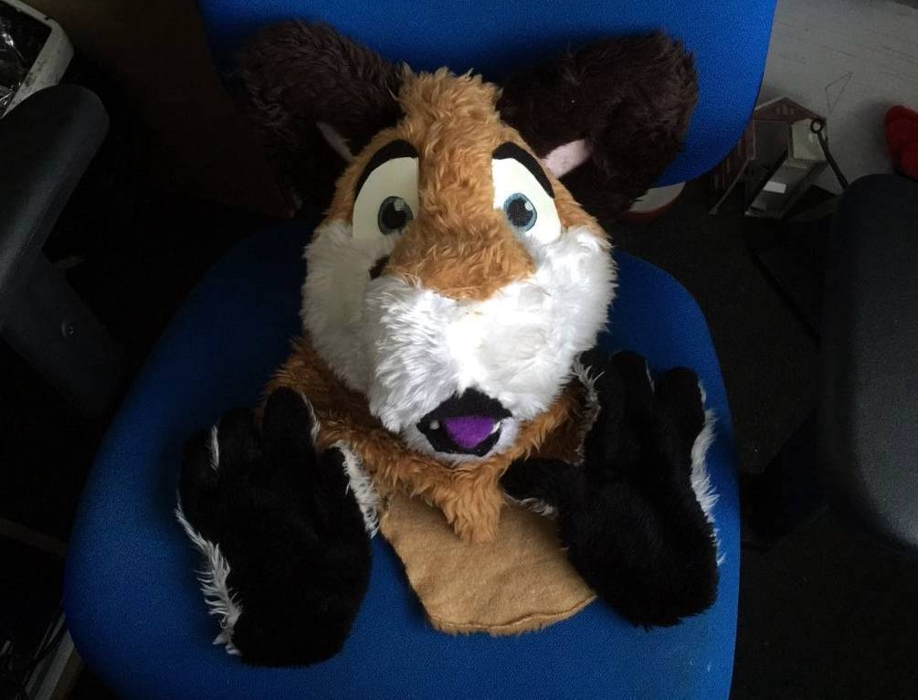fuzz.png