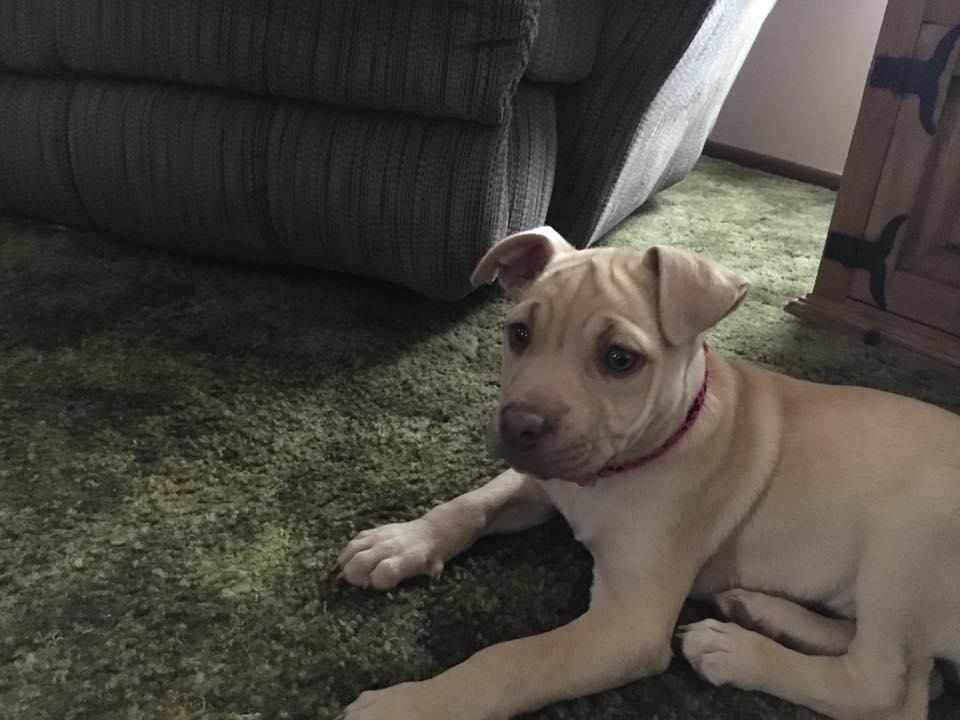 g.jpg